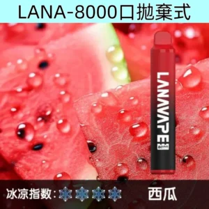 Lana8000口拋棄式 可充電一次性電子煙|【西瓜】
